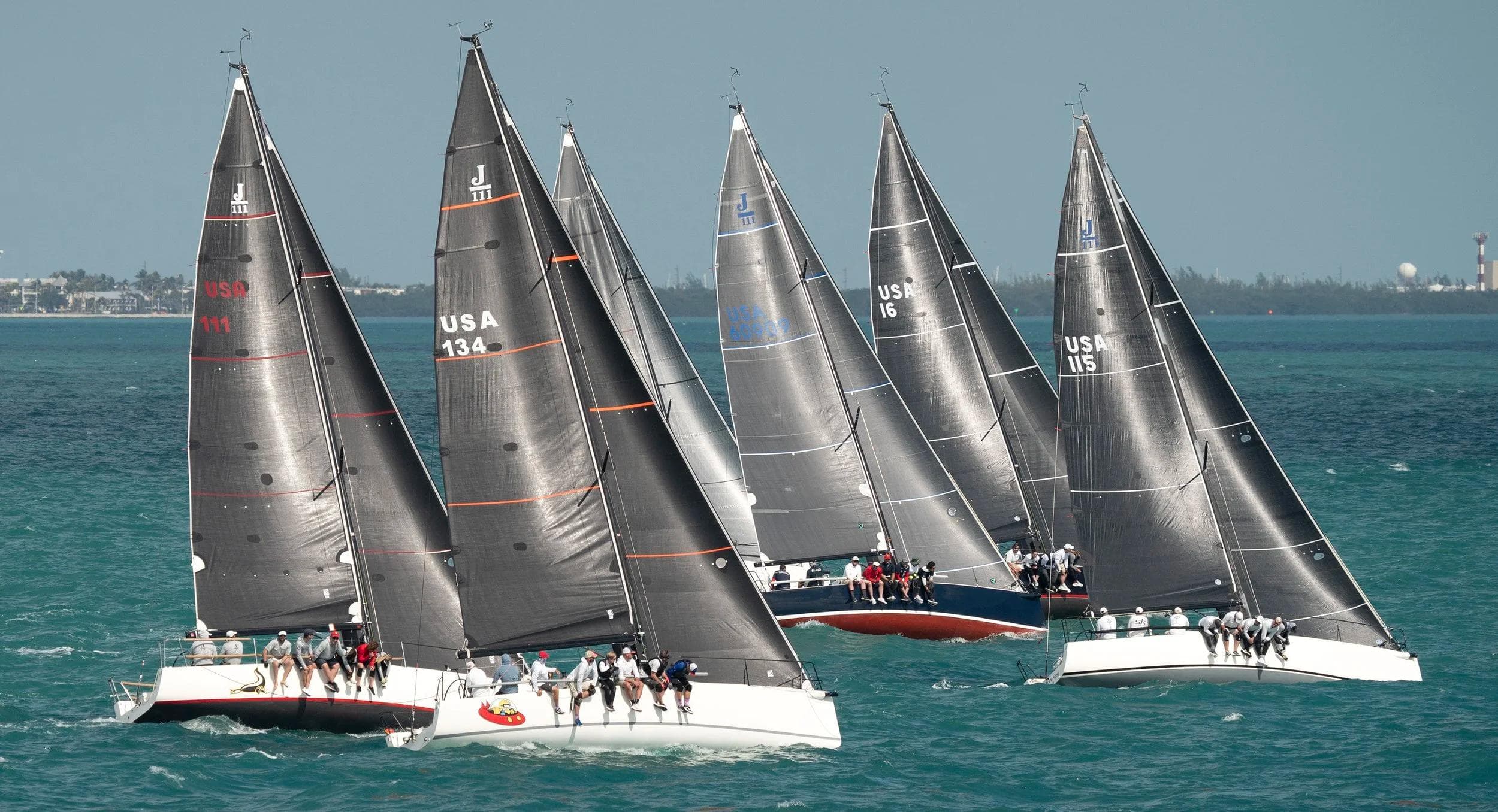 The Southernmost Regatta