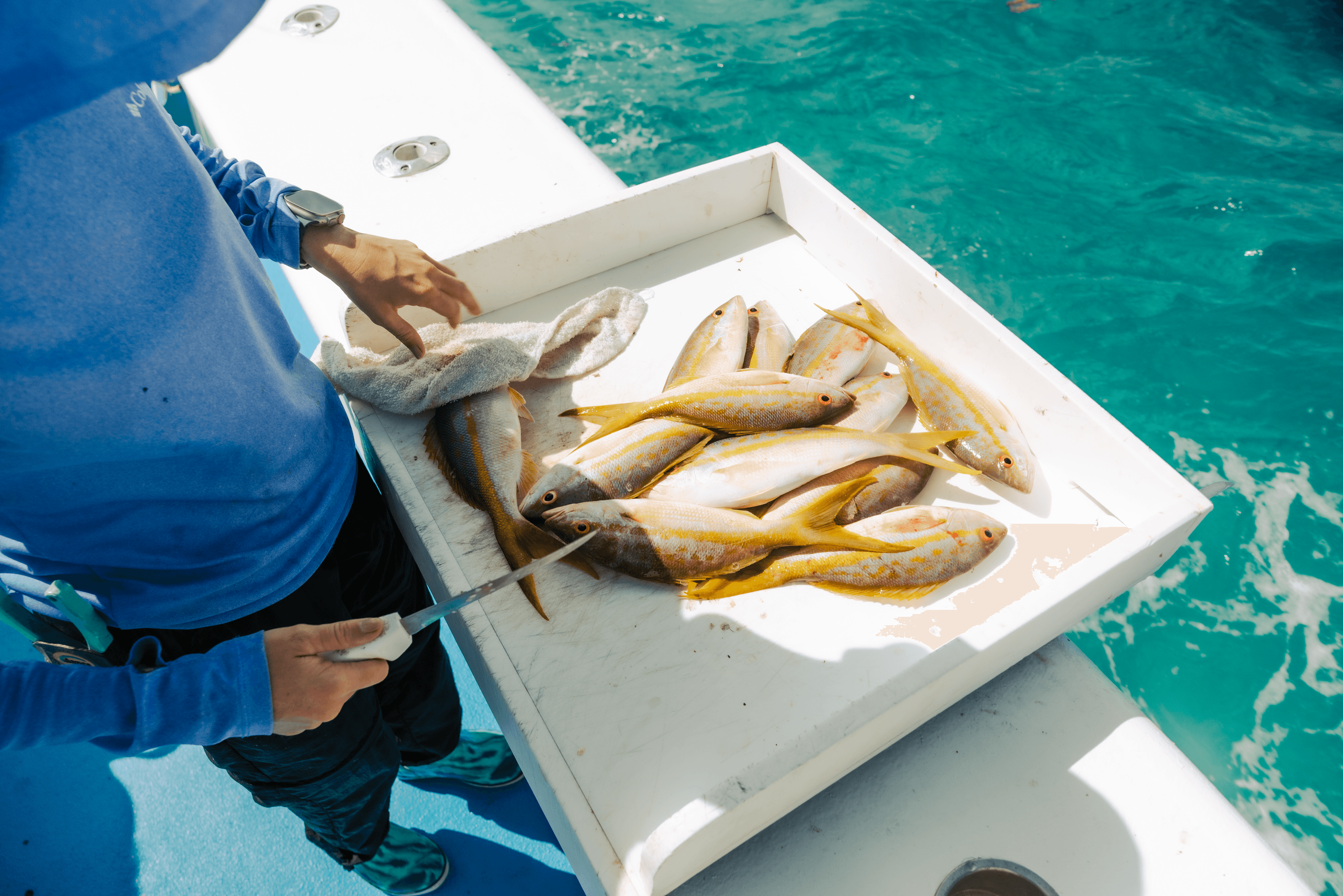 Trophy Moments Await